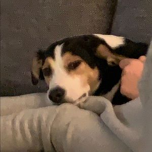 Meet your Posher, Simon